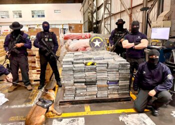 Receita Federal apreende mais de 1 tonelada de cocaína no Terminal de Contêineres do Porto de Paranaguá