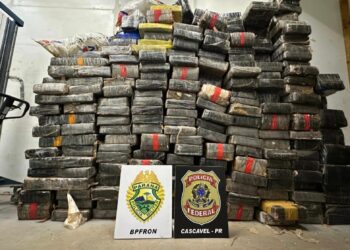 A droga estava escondida entre os grãos de soja que estavam sendo transportados na carreta