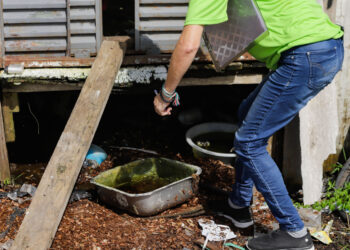 Foto: Roberto Dziura Jr/AEN