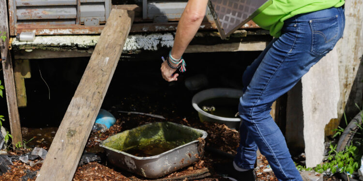 Foto: Roberto Dziura Jr/AEN