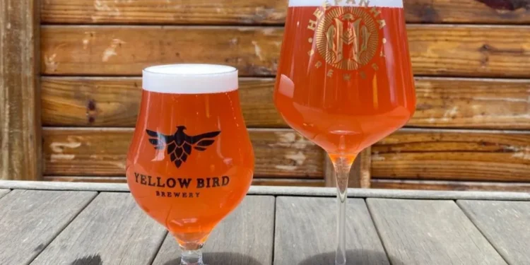 Do Litoral ao topo do pódio: cerveja produzida em Paranaguá é eleita a melhor do Brasil em 2025