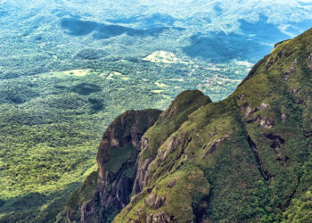 Foto: Denis Ferreira Netto/SEDEST-PR