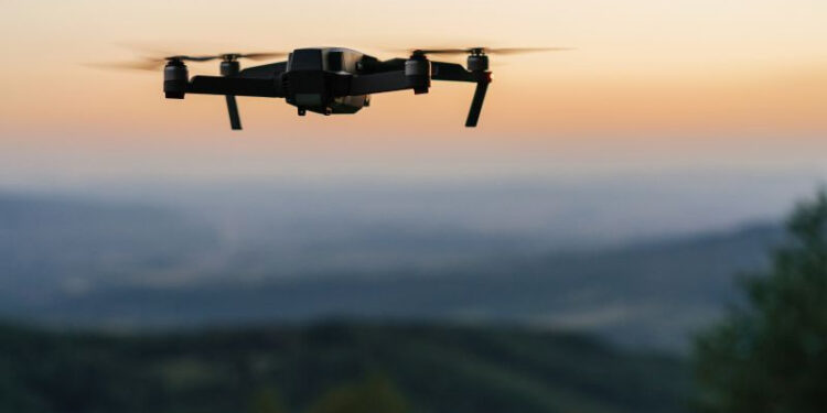 Foto: Prefeitura de Paranaguá