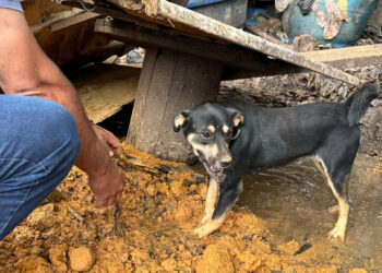 Foto: Matheus Campos