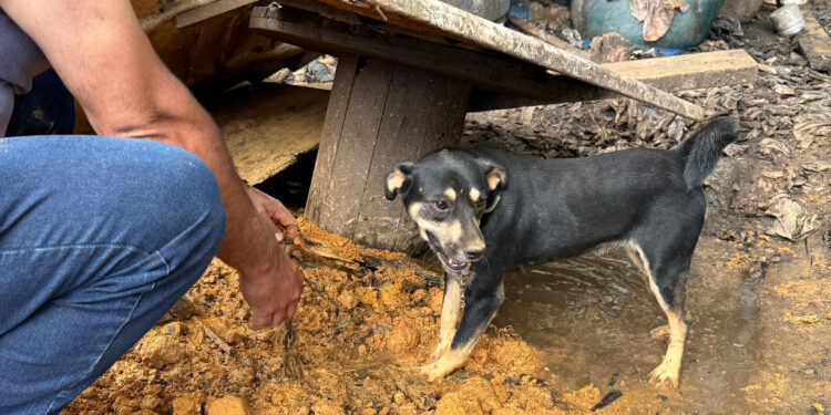 Foto: Matheus Campos