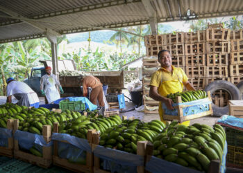 Foto: Gilson Abreu/Arquivo AEN