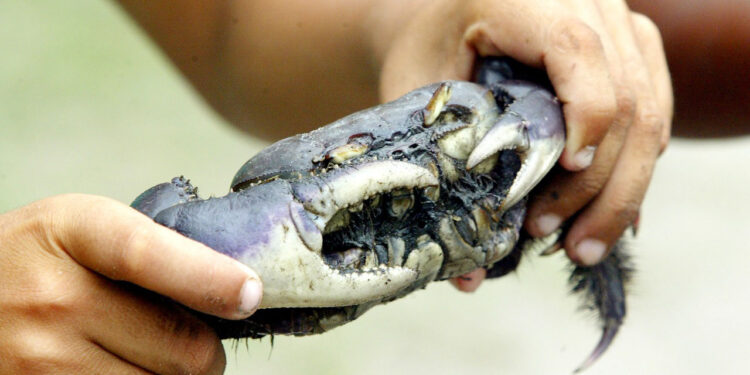 Foto: Denis Ferreira Netto/SEDEST-PR