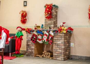 Foto: Moyses Zanardo