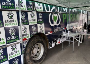 Castra+Paraná2 inicia rota no Litoral com castração gratuita de cães e gatos em todas as cidades