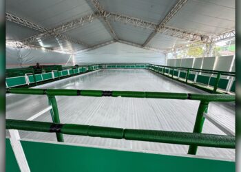 Pista de gelo é inaugurada em Paranaguá e abre temporada natalina com atividades diárias