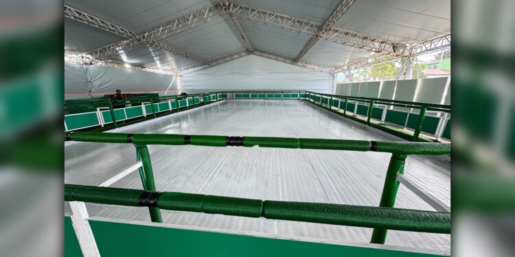 Pista de gelo é inaugurada em Paranaguá e abre temporada natalina com atividades diárias