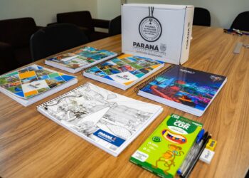 Foto: Silvio Turras/SEED