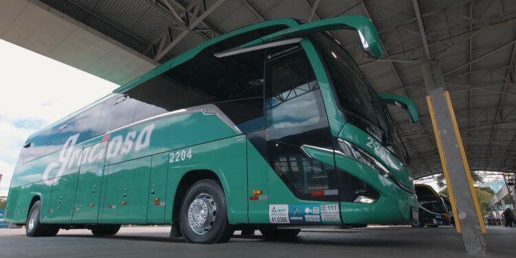 Viação Graciosa se prepara para a temporada de verão com reforço na operação e horários extras