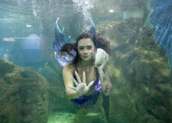 Foto: Portos do Paraná