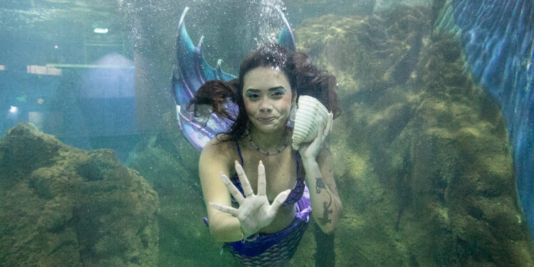 Foto: Portos do Paraná