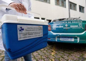 Foto: Albari Rosa/Arquivo AEN