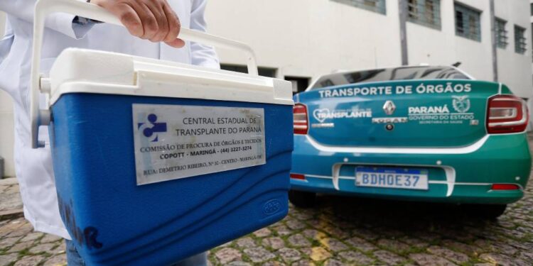 Foto: Albari Rosa/Arquivo AEN