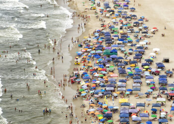 Foto: Denis Ferreira Netto/SEDEST