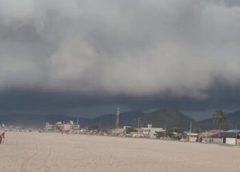 Foto: Alexandra Fernandes/RCP Curitiba