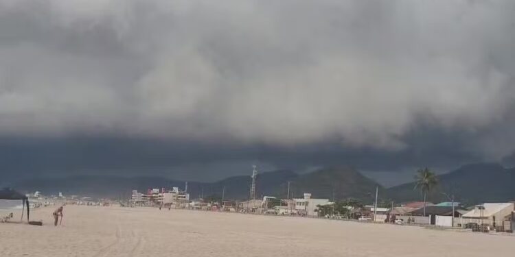 Foto: Alexandra Fernandes/RCP Curitiba