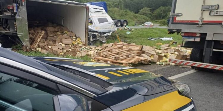 Ação conjunta prende três suspeitos por roubo de caminhão que provocou acidente com seis mortes na BR-116, no Paraná