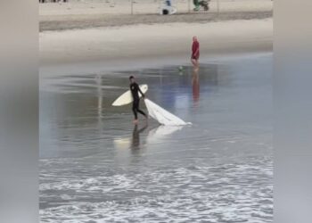 Fotos: André Neto e RPC