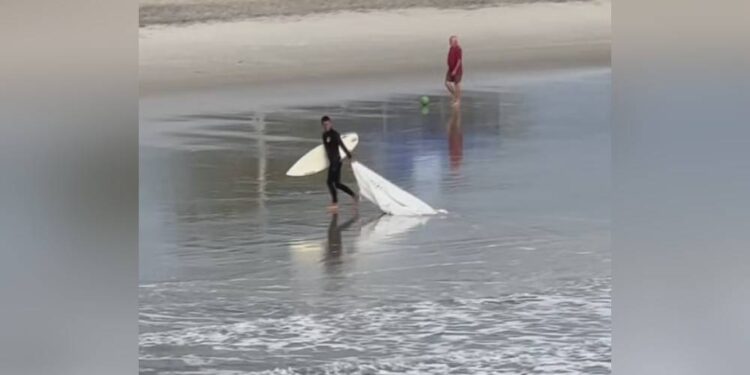 Fotos: André Neto e RPC