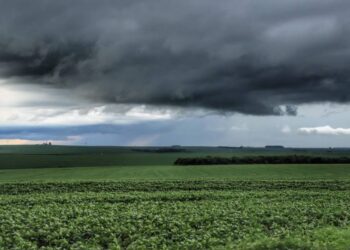 Foto: José Fernando Ogura/AEN