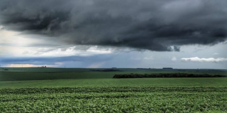Foto: José Fernando Ogura/AEN