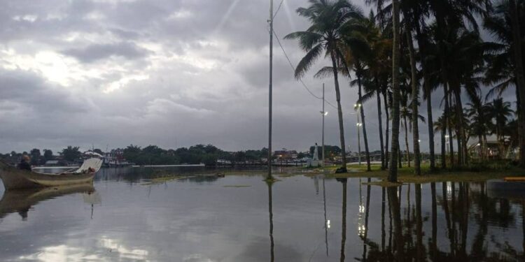 Foto: Wagner Ferreira