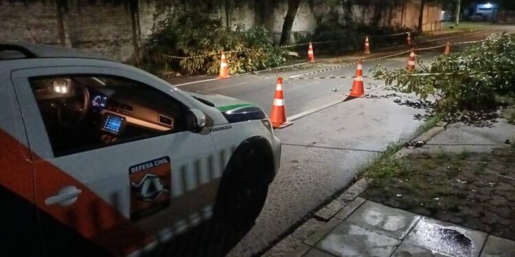 Foto: Defesa Civil de Paranaguá