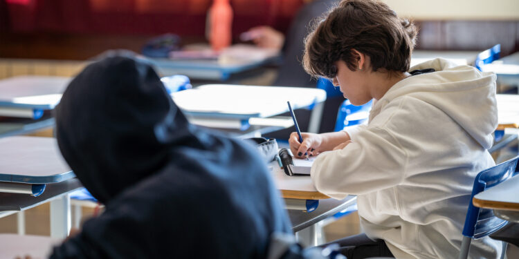 Foto: Lucas Fermin/SEED