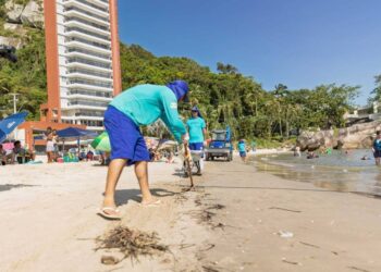 8,7 toneladas de lixo são recolhidos das praias de Matinhos, Pontal e Guaratuba após o Réveillon