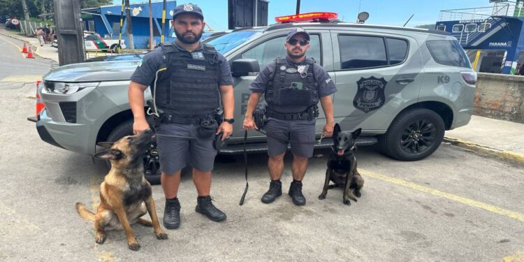 Foto: Anderson Martins/SESP