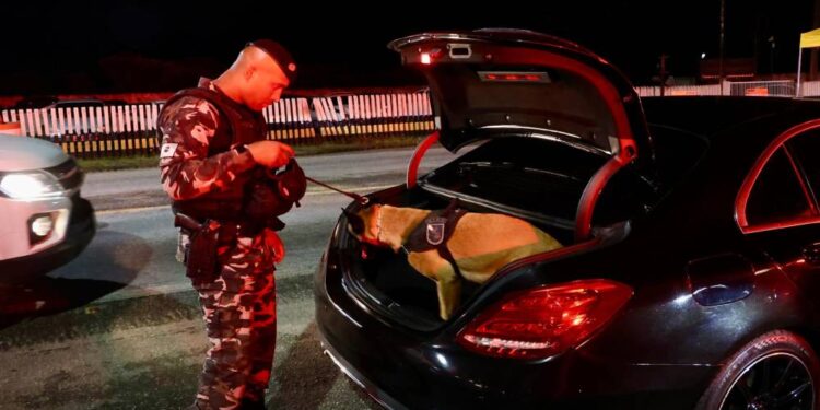 Foto: Ricardo Almeida / SESP