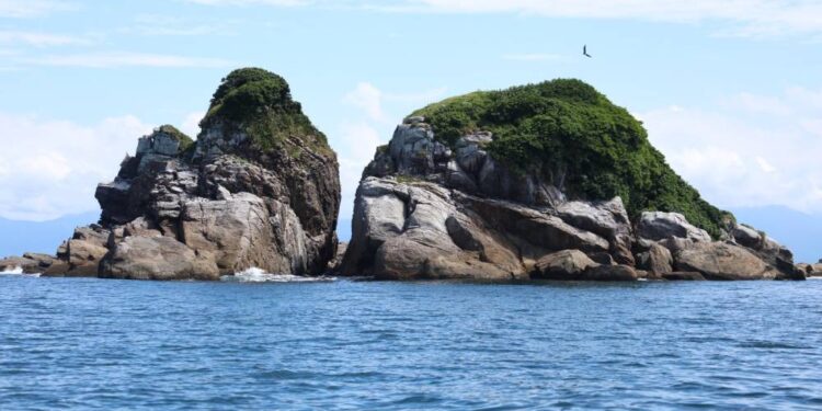 Foto: Clovis Santos/Prefeitura de Pontal do Paraná