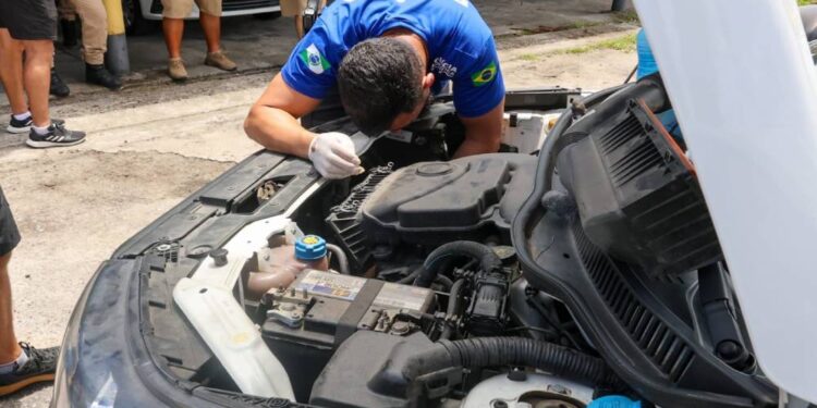 Foto: Polícia Científica