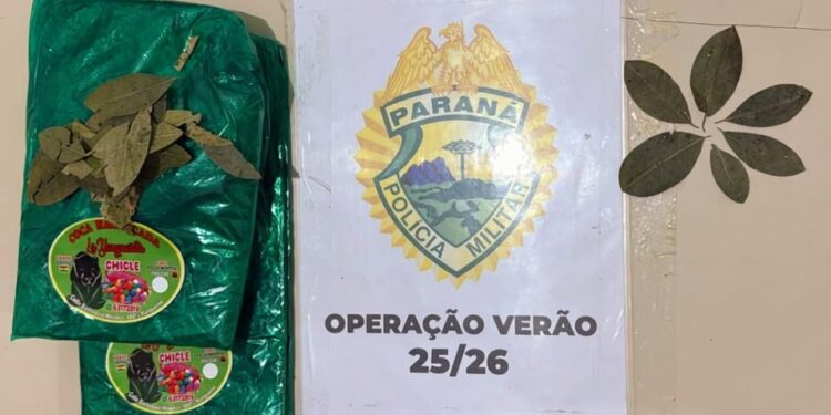 PM flagra homens com folhas de coca na orla de Guaratuba 