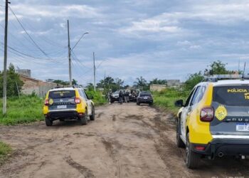 Foto: Reprodução WhatsApp