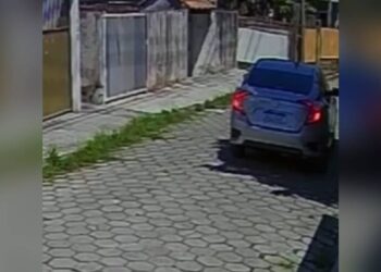 Motorista que atropelou cachorro na Ilha dos Valadares é preso acusado de maus tratos; animal não resistiu aos ferimentos