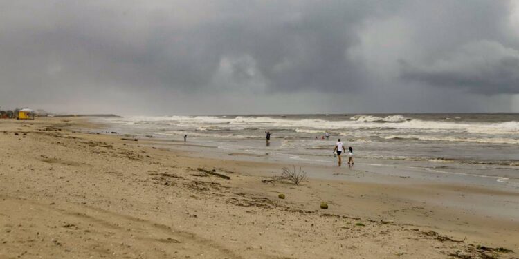 Foto: Roberto Dziura Jr/AEN