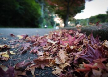 Foto: Geraldo Bubniak/AEN