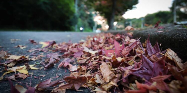 Foto: Geraldo Bubniak/AEN