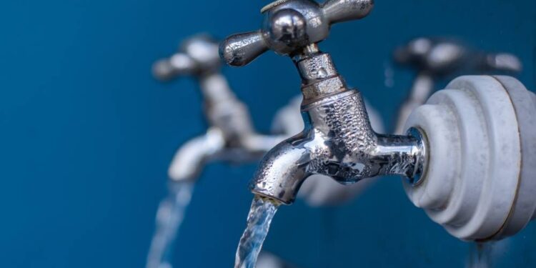 Foto: Moyses Zanardo e Lucas Montalvão/Prefeitura de Paranaguá