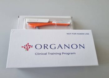 Foto: Prefeitura de Paranaguá