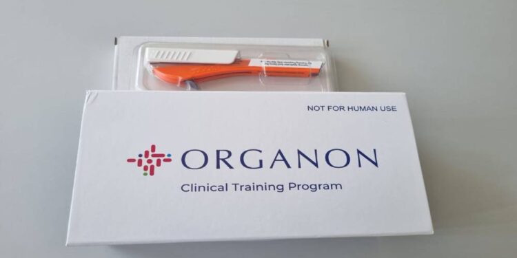 Foto: Prefeitura de Paranaguá