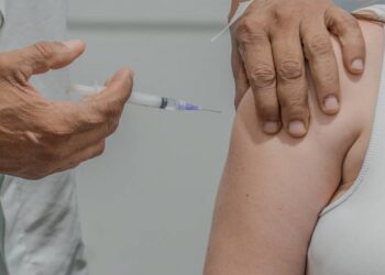 Foto: Silvia Costa/Prefeitura de Paranaguá