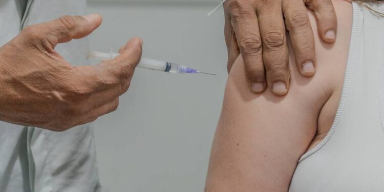 Foto: Silvia Costa/Prefeitura de Paranaguá