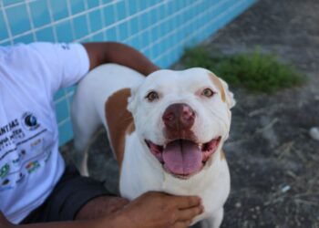 Foto: Clovis Santos e Jackeline Costa/Prefeitura de Pontal do Paraná