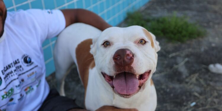 Foto: Clovis Santos e Jackeline Costa/Prefeitura de Pontal do Paraná